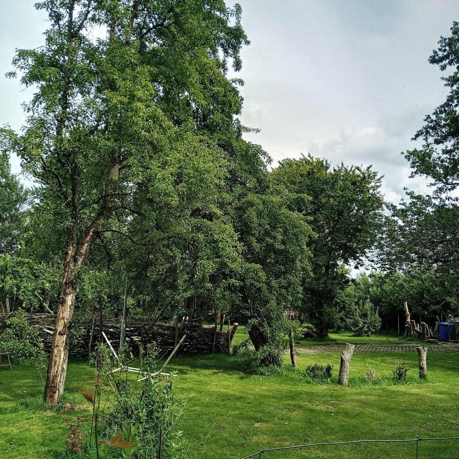 Ferienwohnung-Im-Karolinenkoog-Erholung-Zwischen-Feld-Und-Deich Bagian luar foto