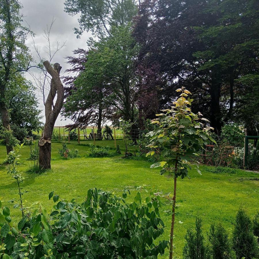 Ferienwohnung-Im-Karolinenkoog-Erholung-Zwischen-Feld-Und-Deich Bagian luar foto